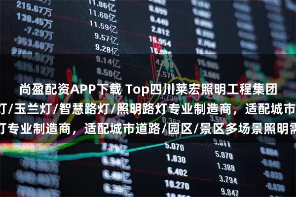 尚盈配资APP下载 Top四川莱宏照明工程集团有限公司：路灯/高杆灯/玉兰灯/智慧路灯/照明路灯专业制造商，适配城市道路/园区/景区多场景照明需求